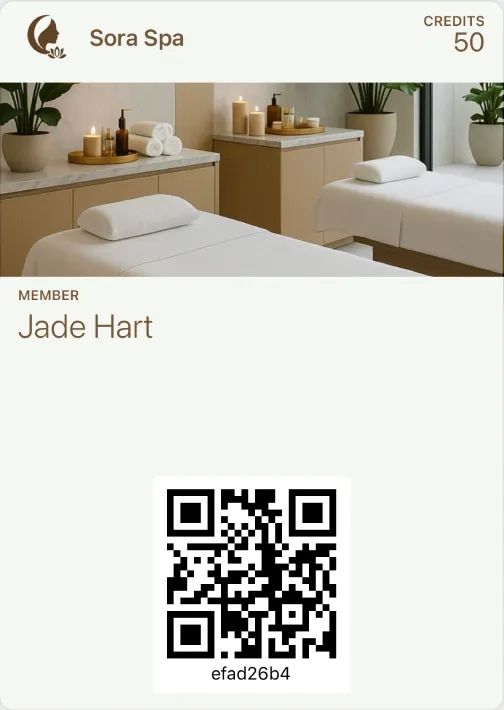 Example prepaid balance card